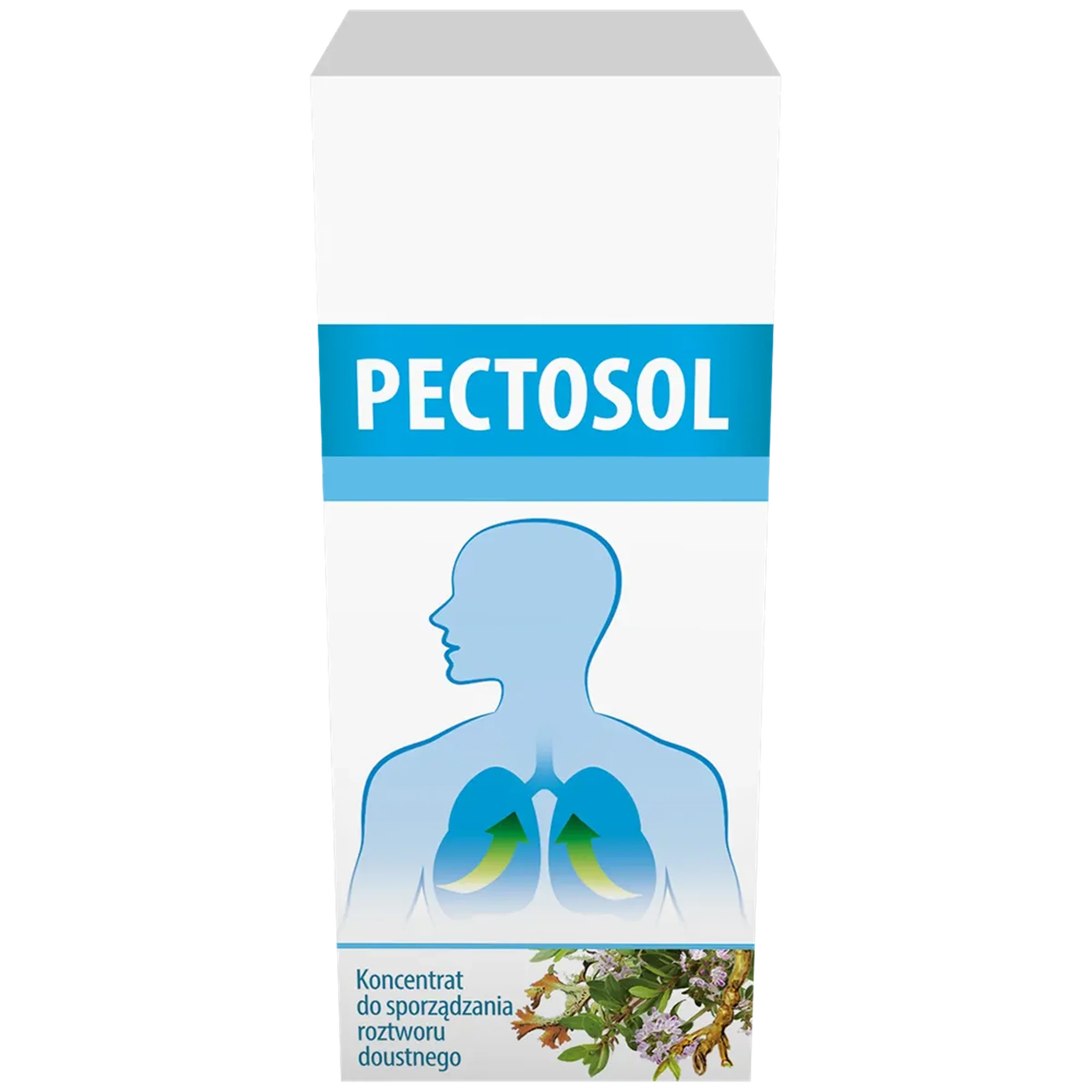 PECTOSOL - Krople 40ml - KASZEL