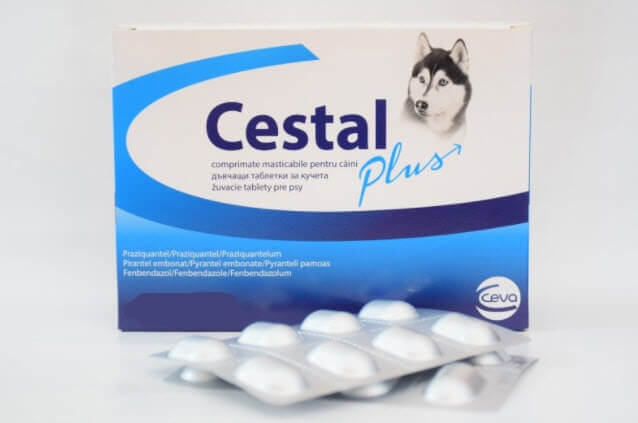 CESTAL PLUS, Tabletki odrobaczające dla psa, 8 sztuk / POLSKA APTEKA UK , WETERYNARZ UK